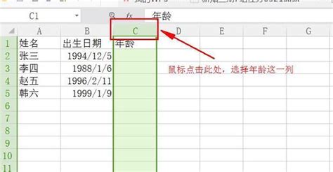 出生年月|在线年龄计算器